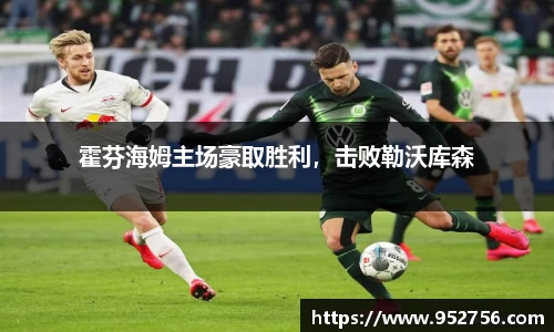 霍芬海姆主场豪取胜利，击败勒沃库森